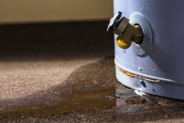 Best Flood restoration services  in Warren, MN