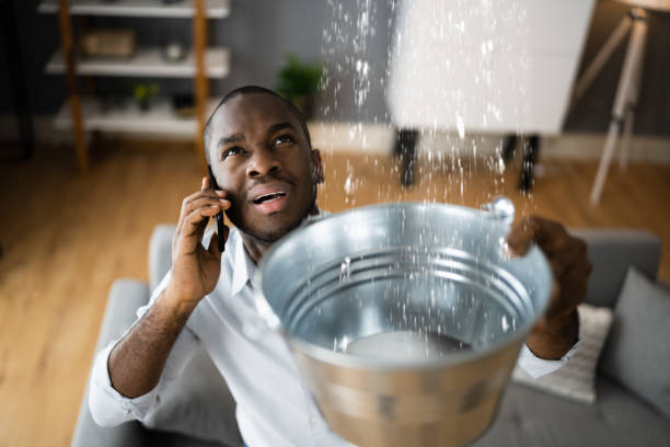 Carpet water damage restoration in Warren, MN