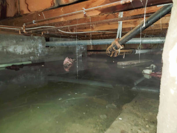 Professional Water damage restoration in Warren, MN
