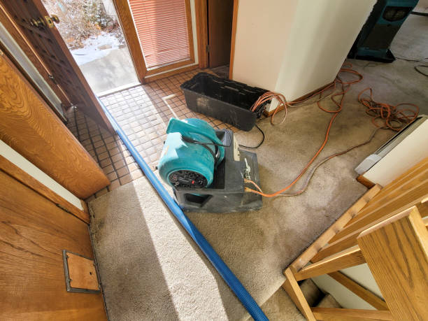 Best Flood damage cleanup  in Warren, MN