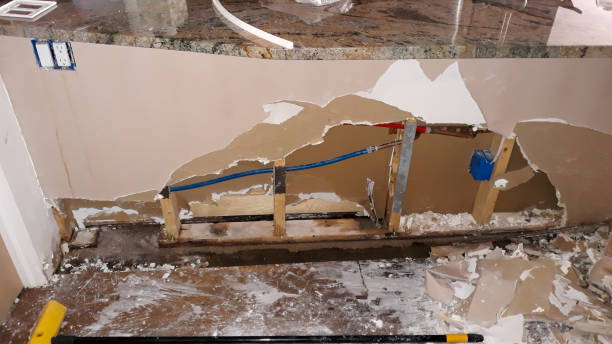 Best Professional water damage repair  in Warren, MN