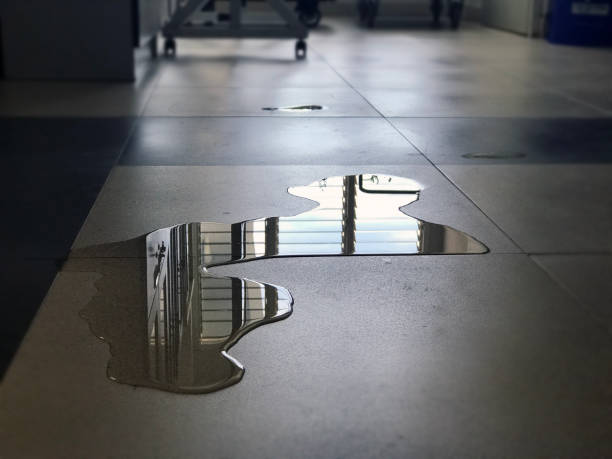Best 24/7 water damage repair  in Warren, MN