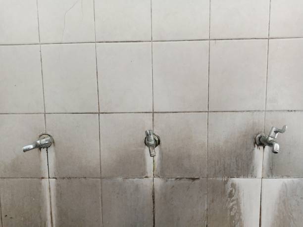 Best Water damage cleanup near me  in Warren, MN
