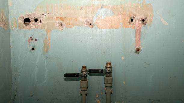 Best Commercial water damage restoration  in Warren, MN