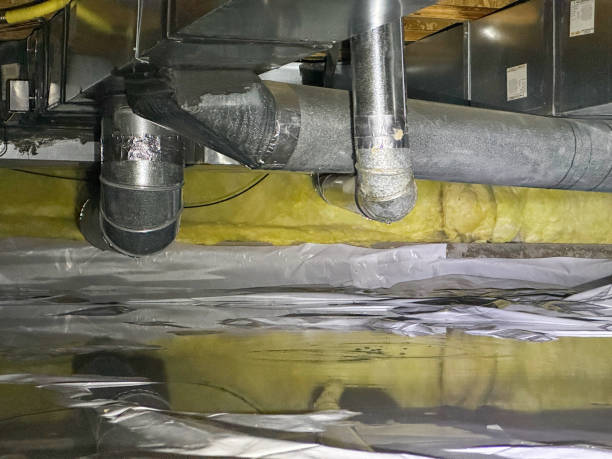 Best 24-hour water damage restoration  in Warren, MN