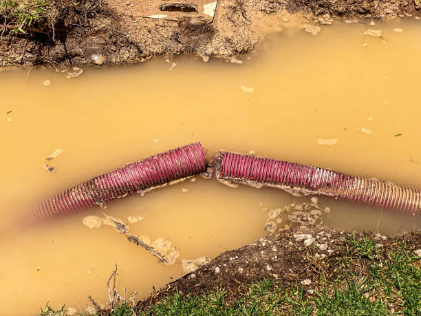 Best Water damage restoration near me  in Warren, MN